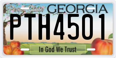 GA license plate PTH4501