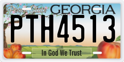GA license plate PTH4513