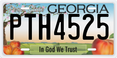 GA license plate PTH4525