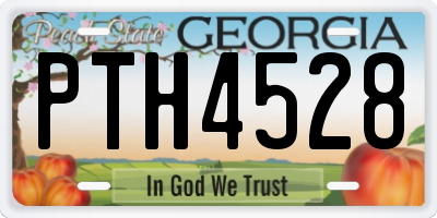 GA license plate PTH4528