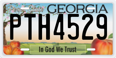 GA license plate PTH4529