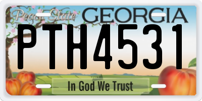 GA license plate PTH4531