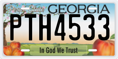 GA license plate PTH4533