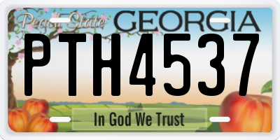 GA license plate PTH4537
