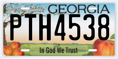 GA license plate PTH4538