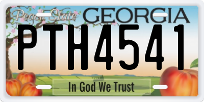 GA license plate PTH4541