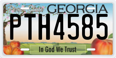 GA license plate PTH4585