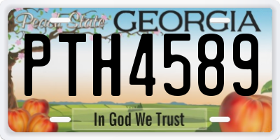 GA license plate PTH4589