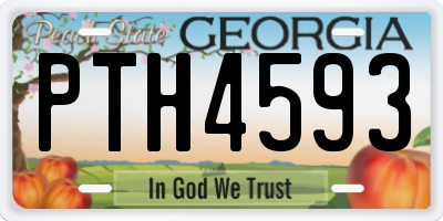GA license plate PTH4593