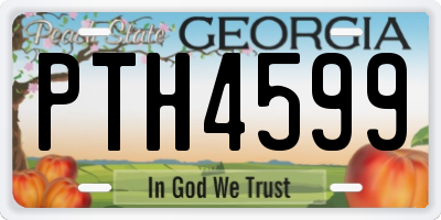GA license plate PTH4599