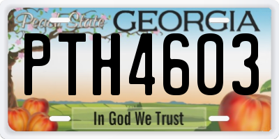 GA license plate PTH4603