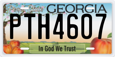 GA license plate PTH4607