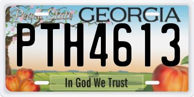 GA license plate PTH4613