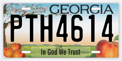 GA license plate PTH4614