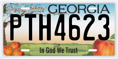 GA license plate PTH4623