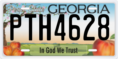 GA license plate PTH4628