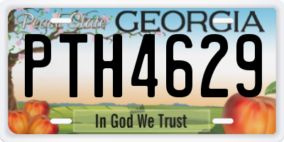 GA license plate PTH4629