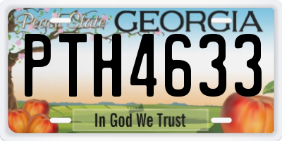 GA license plate PTH4633