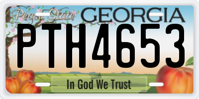 GA license plate PTH4653