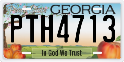 GA license plate PTH4713