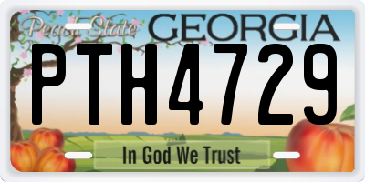 GA license plate PTH4729