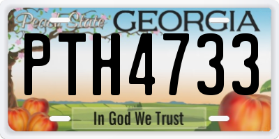 GA license plate PTH4733