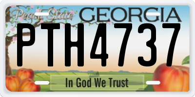 GA license plate PTH4737