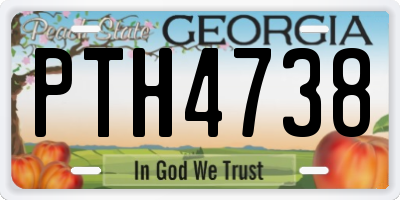 GA license plate PTH4738