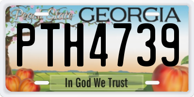 GA license plate PTH4739
