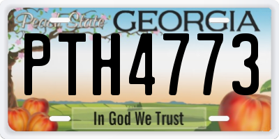 GA license plate PTH4773