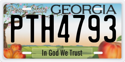 GA license plate PTH4793