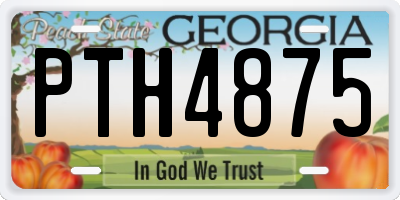 GA license plate PTH4875