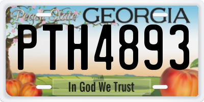 GA license plate PTH4893