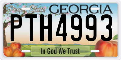 GA license plate PTH4993