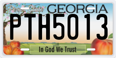 GA license plate PTH5013