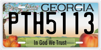 GA license plate PTH5113