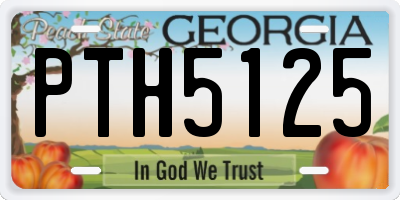 GA license plate PTH5125