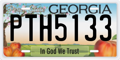 GA license plate PTH5133