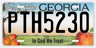 GA license plate PTH5230