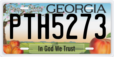 GA license plate PTH5273