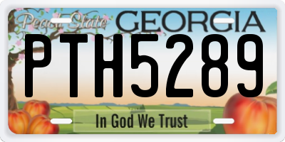 GA license plate PTH5289