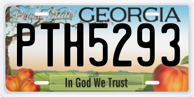 GA license plate PTH5293