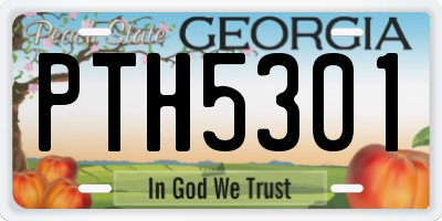 GA license plate PTH5301