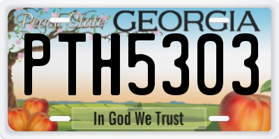 GA license plate PTH5303