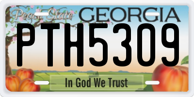 GA license plate PTH5309