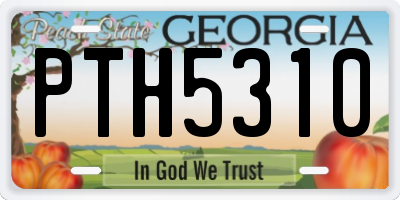 GA license plate PTH5310