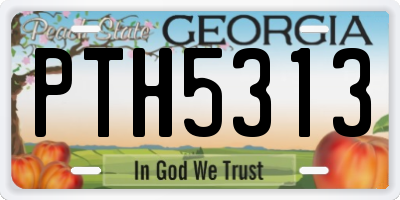 GA license plate PTH5313