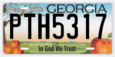 GA license plate PTH5317