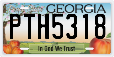 GA license plate PTH5318