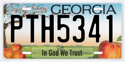 GA license plate PTH5341